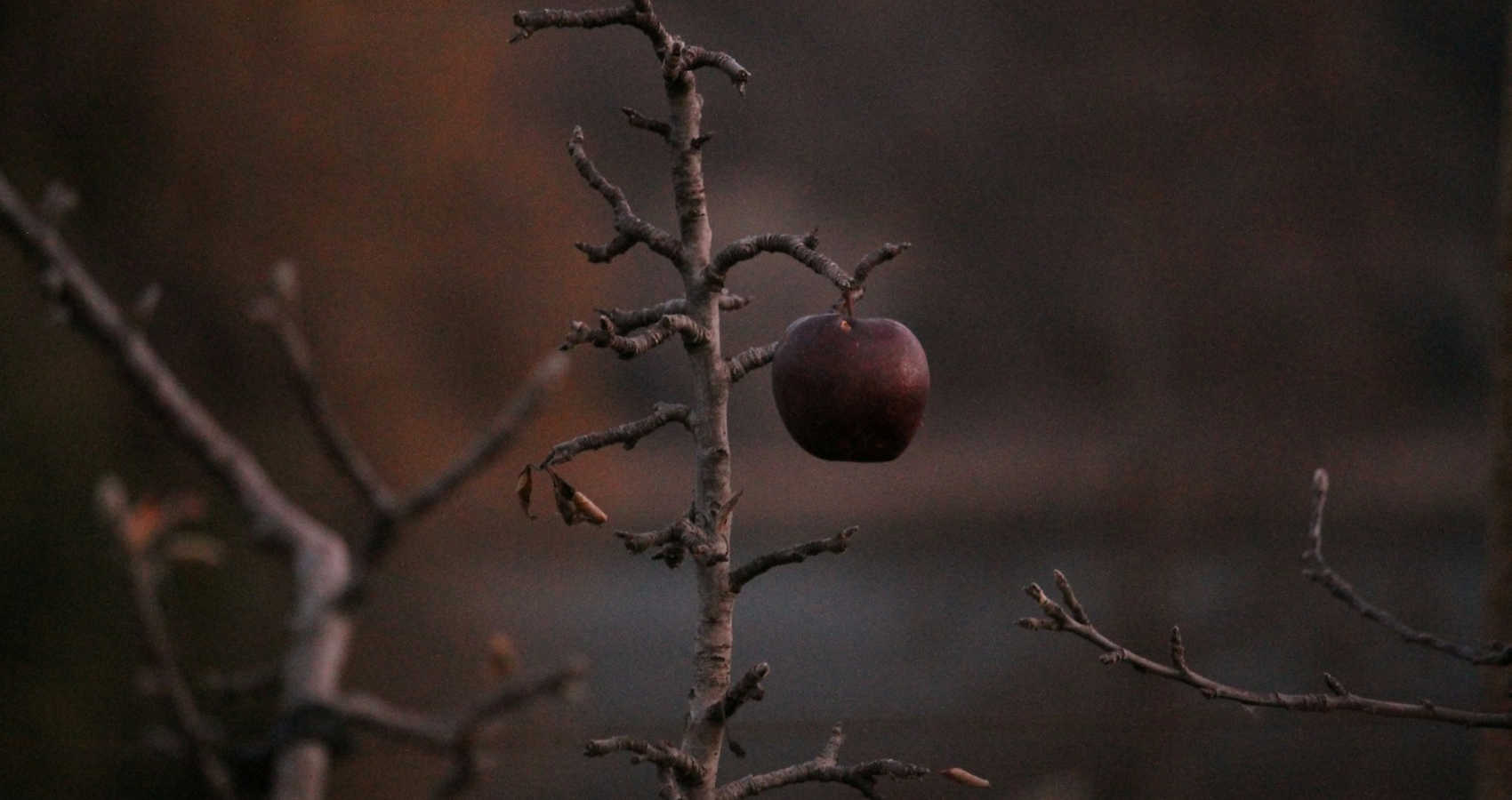 Hang On, poetry by Vaishnavi Pusapati at Spillwords.com