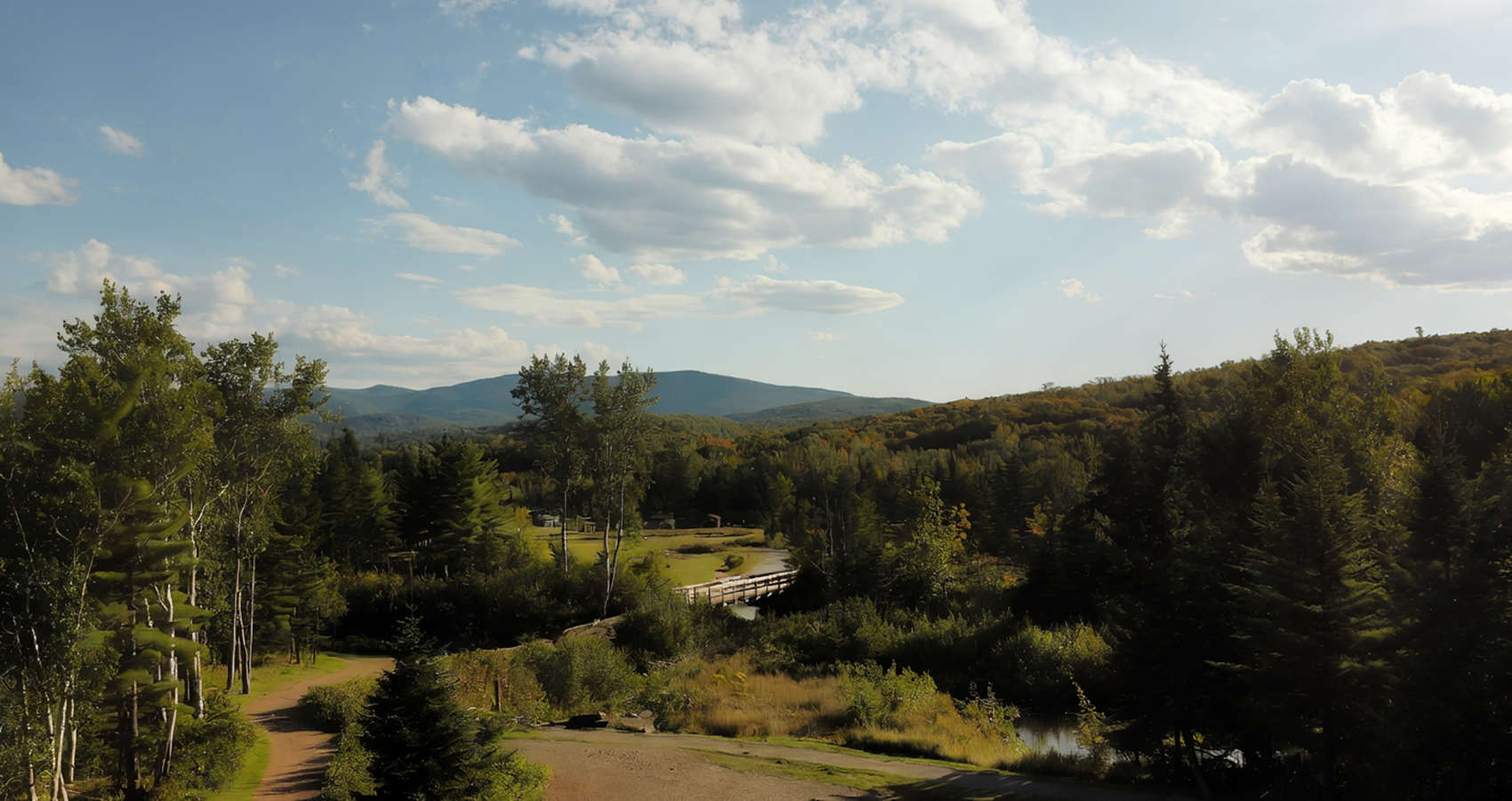 November Forest Walk, a short story written by Christopher Johnson at Spillwords.com