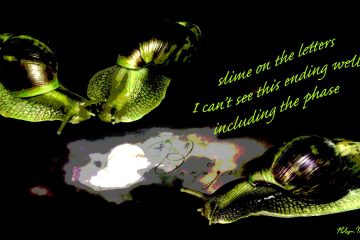 Postage Slime, a haiku by Robyn MacKinnon at Spillwords.com