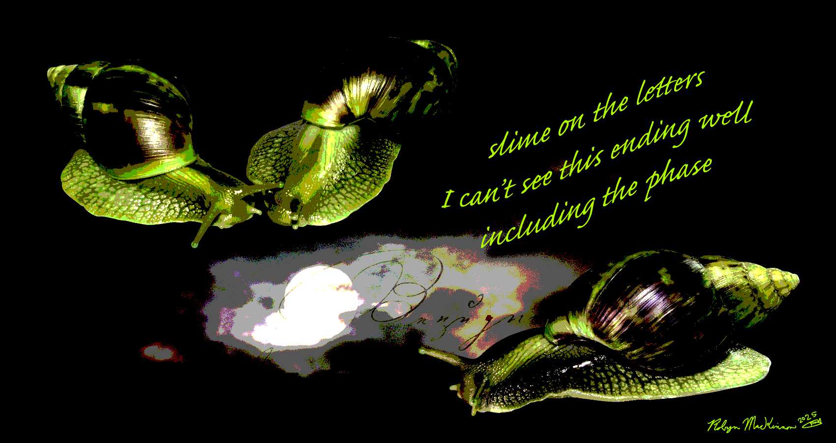 Postage Slime, a haiku by Robyn MacKinnon at Spillwords.com