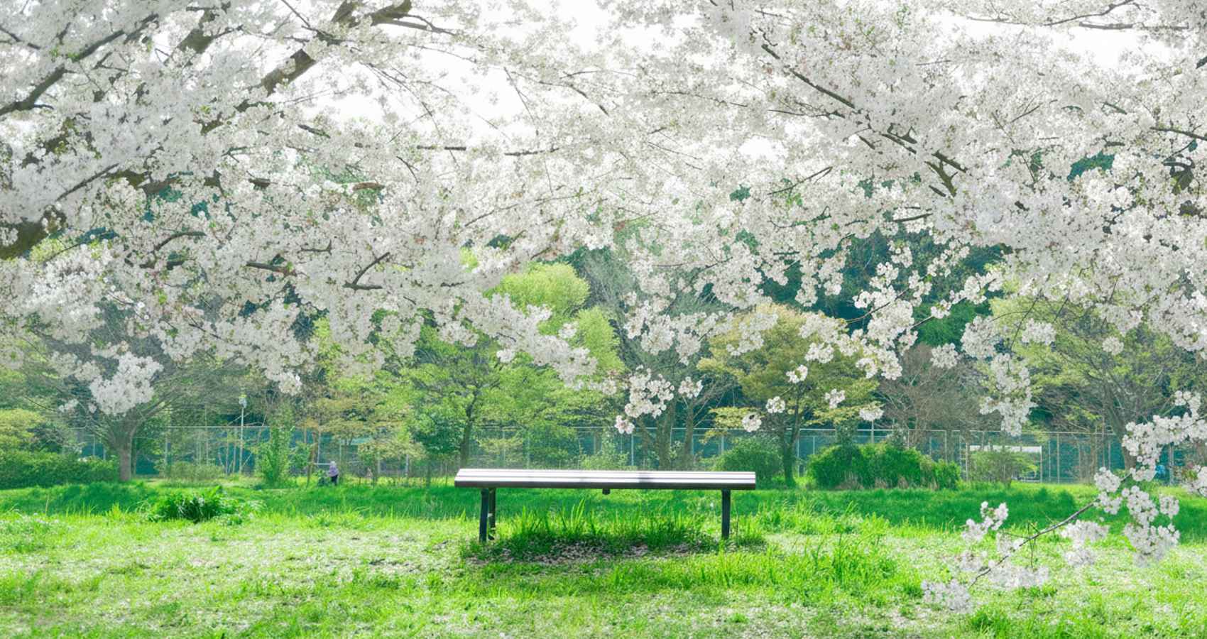 Questioning Living, a poem by Fiordaliso at Spillwords.com