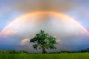 Silver Lining Mentality, a poem by Alex Andy Phuong at Spillwords.com