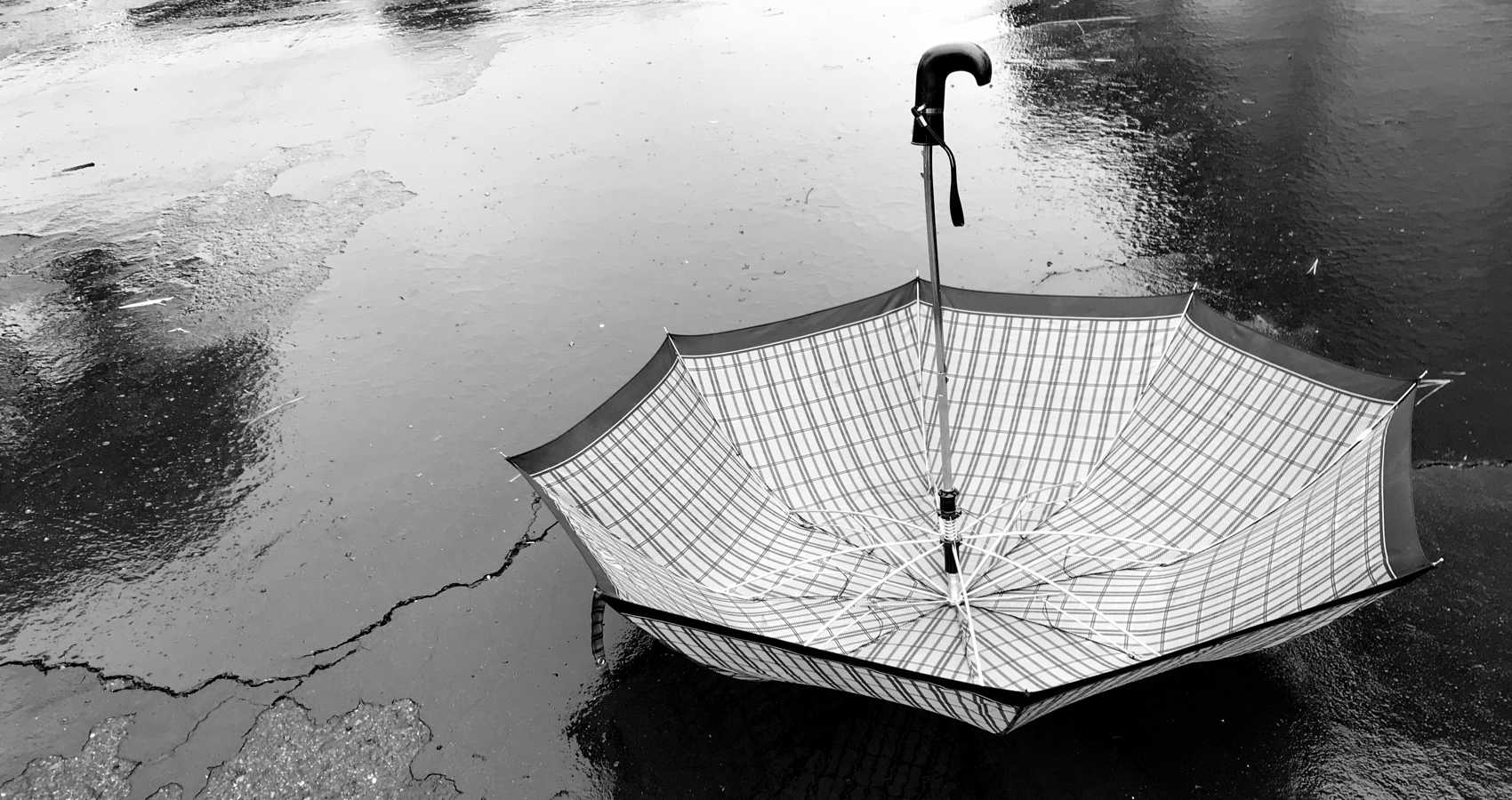 South Jersey Psychic, short story by Tom Minder at Spillwords.com