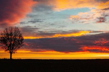 Sun Sets, a poem by Duane L Herrmann at Spillwords.com