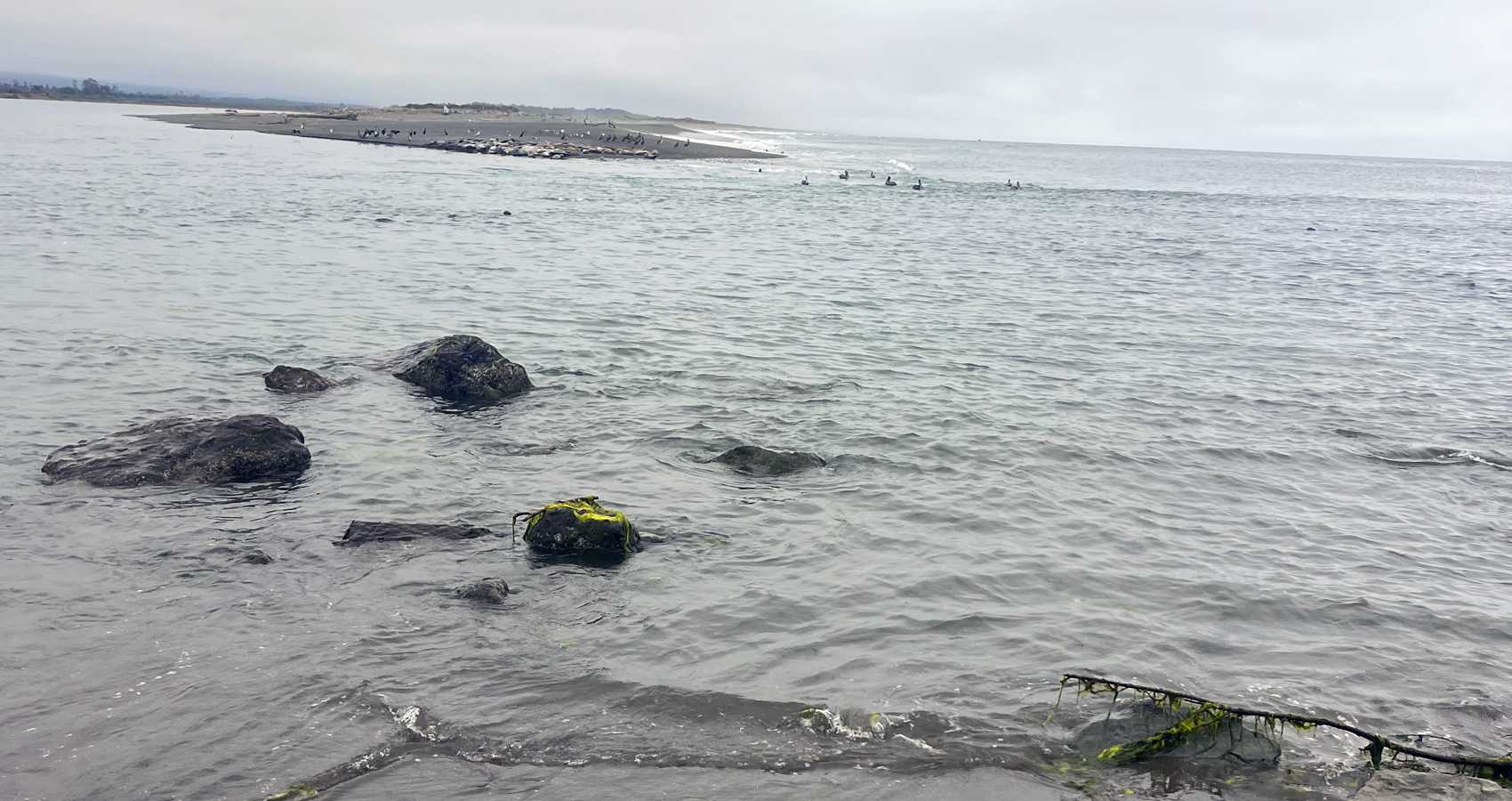 Until The End, a poem by Brian Thurston at Spillwords.com