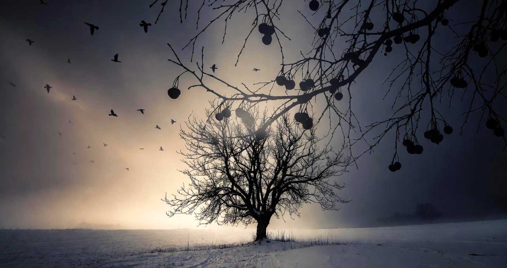 When the Winter Comes, a poem by Miroslava Panayotova at Spillwords.com