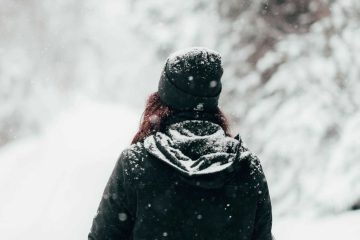 Breezing Winter, poetry by Parvathi Jayakrishnan at Spillwords.com