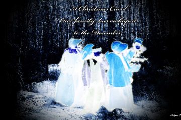 December Transformation, a haiku by Robyn MacKinnon at Spillwords.com