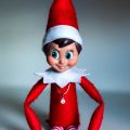 Elf on the Very Wrong Shelf, short story by Kaitlin Brothers at Spillwords.com