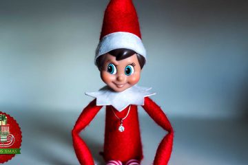 Elf on the Very Wrong Shelf, short story by Kaitlin Brothers at Spillwords.com