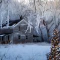 From Farmhouse to Family: A Holiday Tale, poetry by Andy Cooper at Spillwords.com