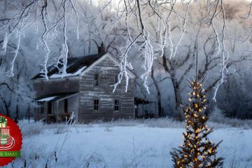 From Farmhouse to Family: A Holiday Tale, poetry by Andy Cooper at Spillwords.com