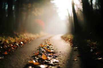 Grandchild, a poem by James Walmsley at Spillwords.com