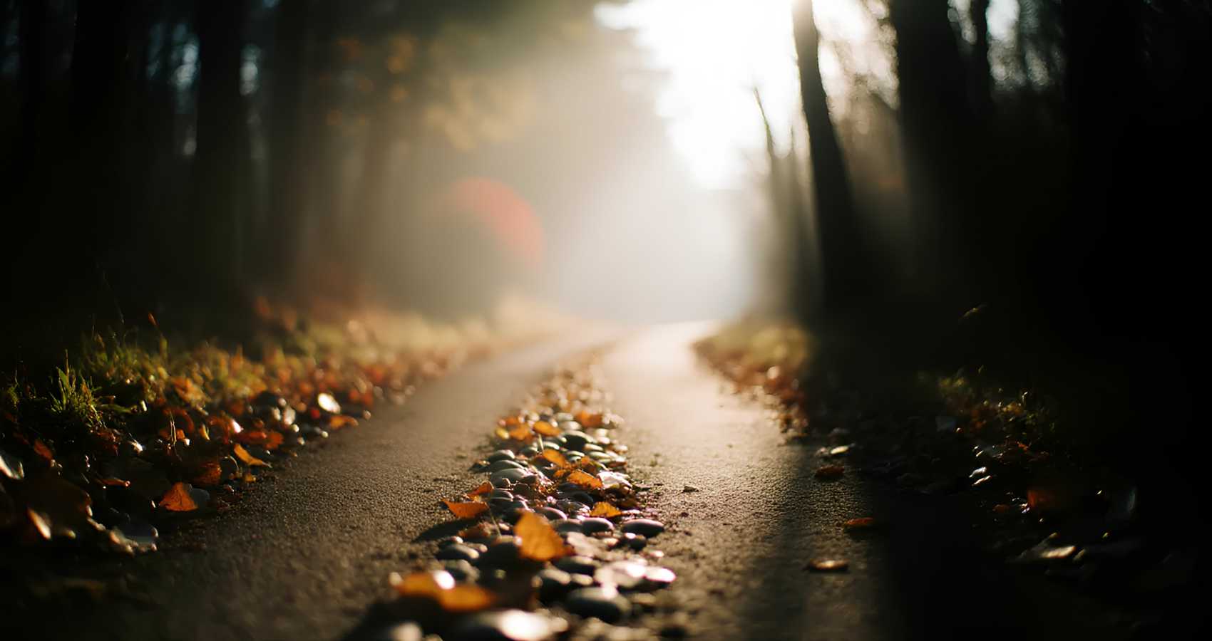 Grandchild, a poem by James Walmsley at Spillwords.com