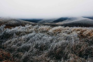 Past Due, a poem by Lawrence Langman at Spillwords.com