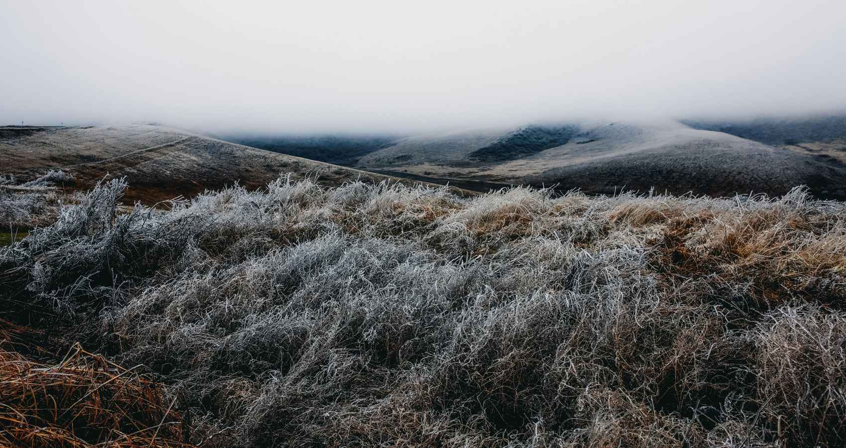 Past Due, a poem by Lawrence Langman at Spillwords.com