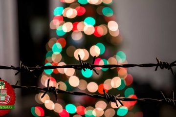 Peace on Earth, Goodwill Toward Men, short story by Dawn DeBraal at Spillwords.com