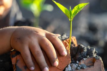 Success Despite Childhood Trauma, an essay by Jessi Gold at Spillwords.com