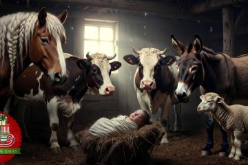 The Christmas Epiphany, a story by John Christopher at Spillwords.com