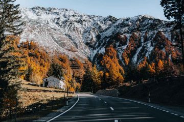 The Trip, a poem by Gypsie-Ami Offenbacher at Spillwords.com