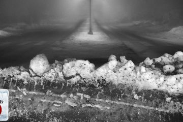 The Visit, a short story by Barbara Avon at Spillwords.com