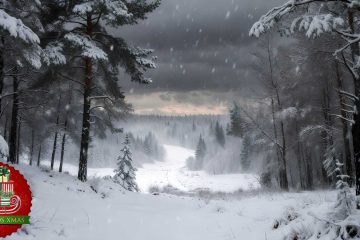 The Yule Siege, a short story by Diana Hignutt at Spillwords.com