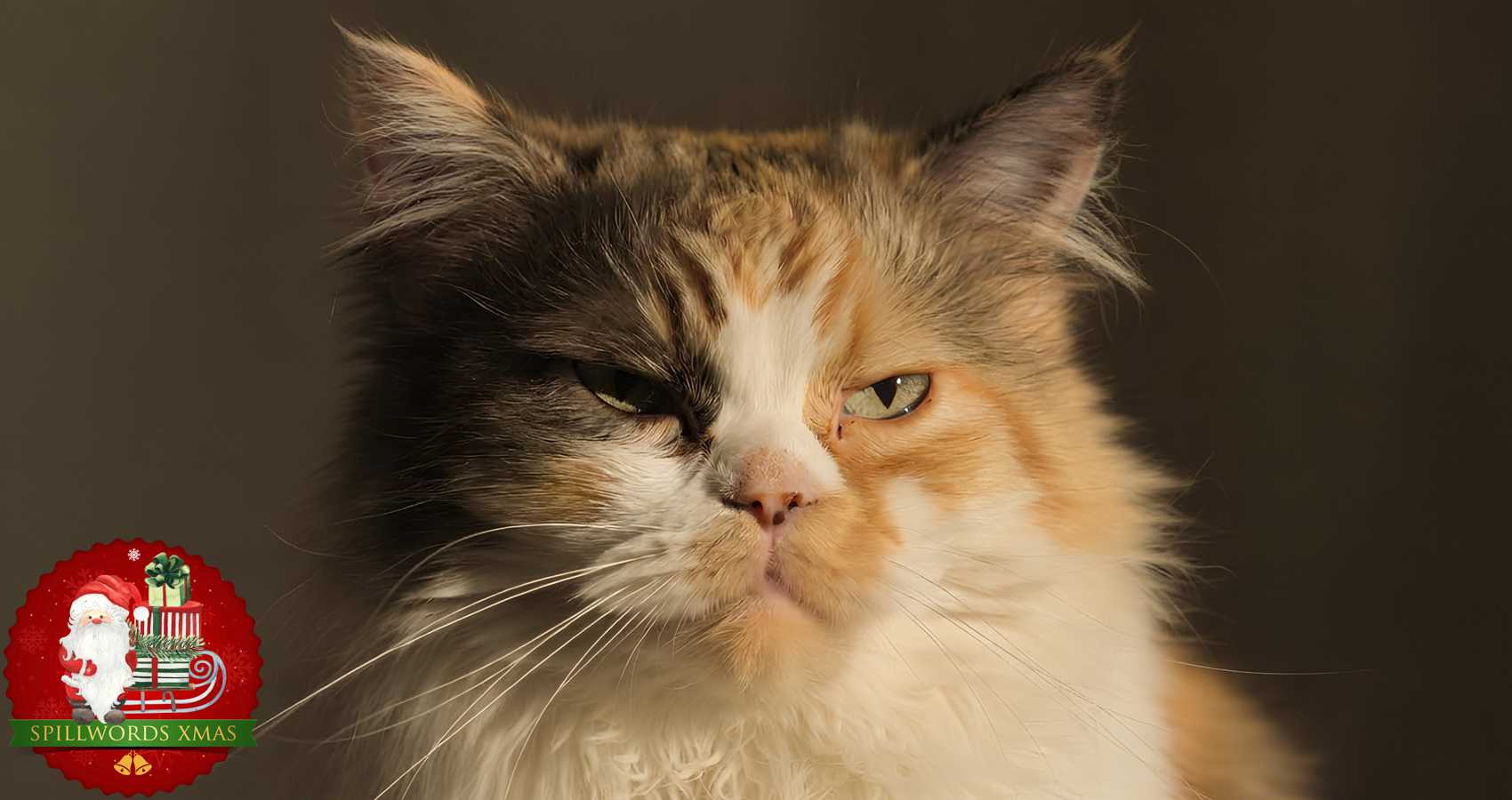 Where Could She Be? a short story by Gabriella Balcom at Spillwords.com