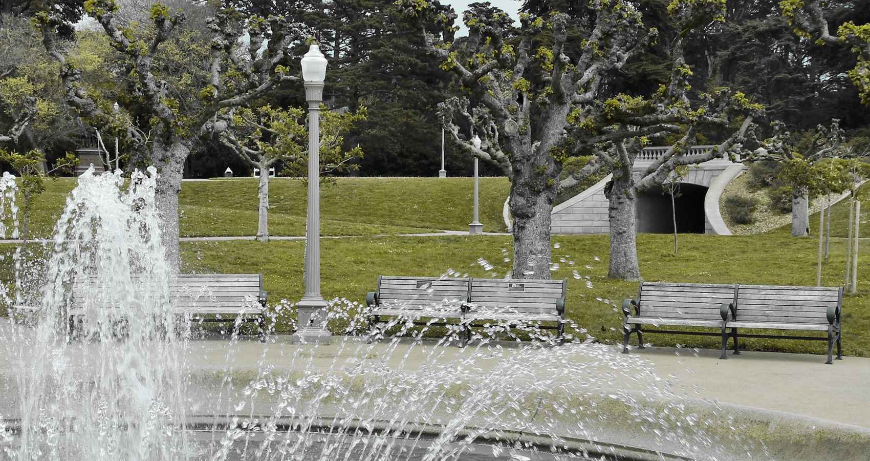 Golden Gate Park 2024, poetry by Elizabeth P. Kellogg at Spillwords.com