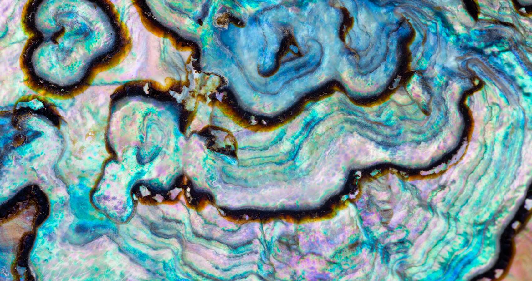 Milestones, a poem by Chris Callard at Spillwords.com