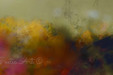 Rain On Me, poem by Susy Andrea Kamber at Spillwords.com