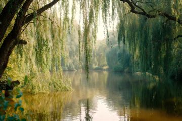 Richard, Do You Remember? a short story by Nick Adigu Burke at Spillwords.com