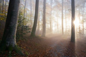 Ritual, a poem by Ali Ashhar at Spillwords.com