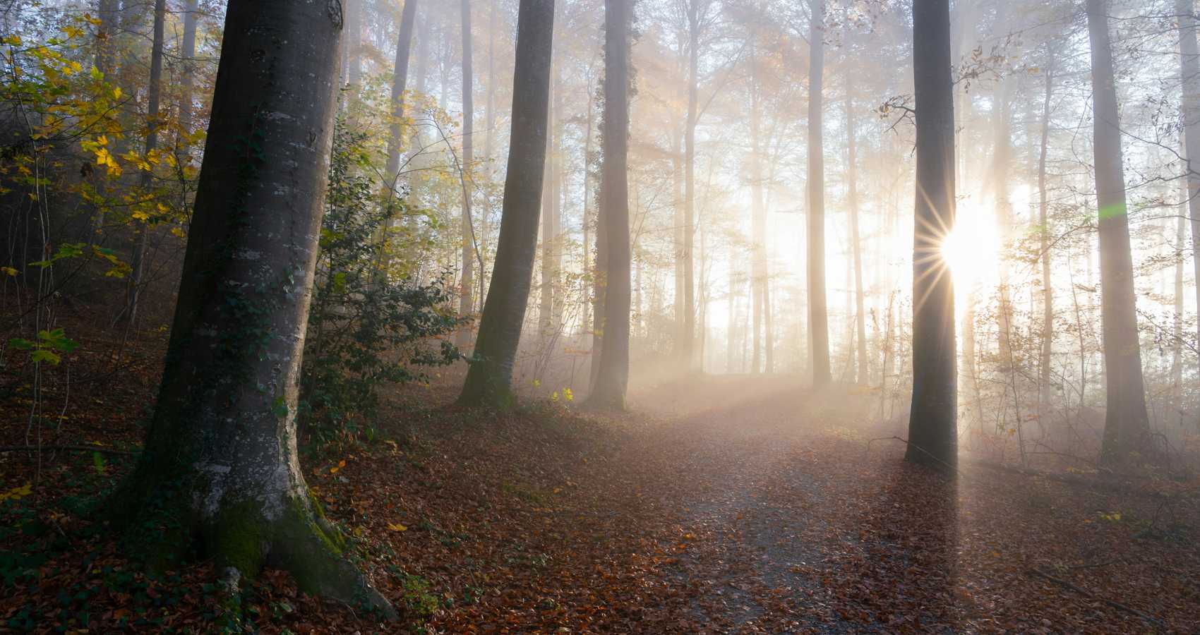 Ritual, a poem by Ali Ashhar at Spillwords.com