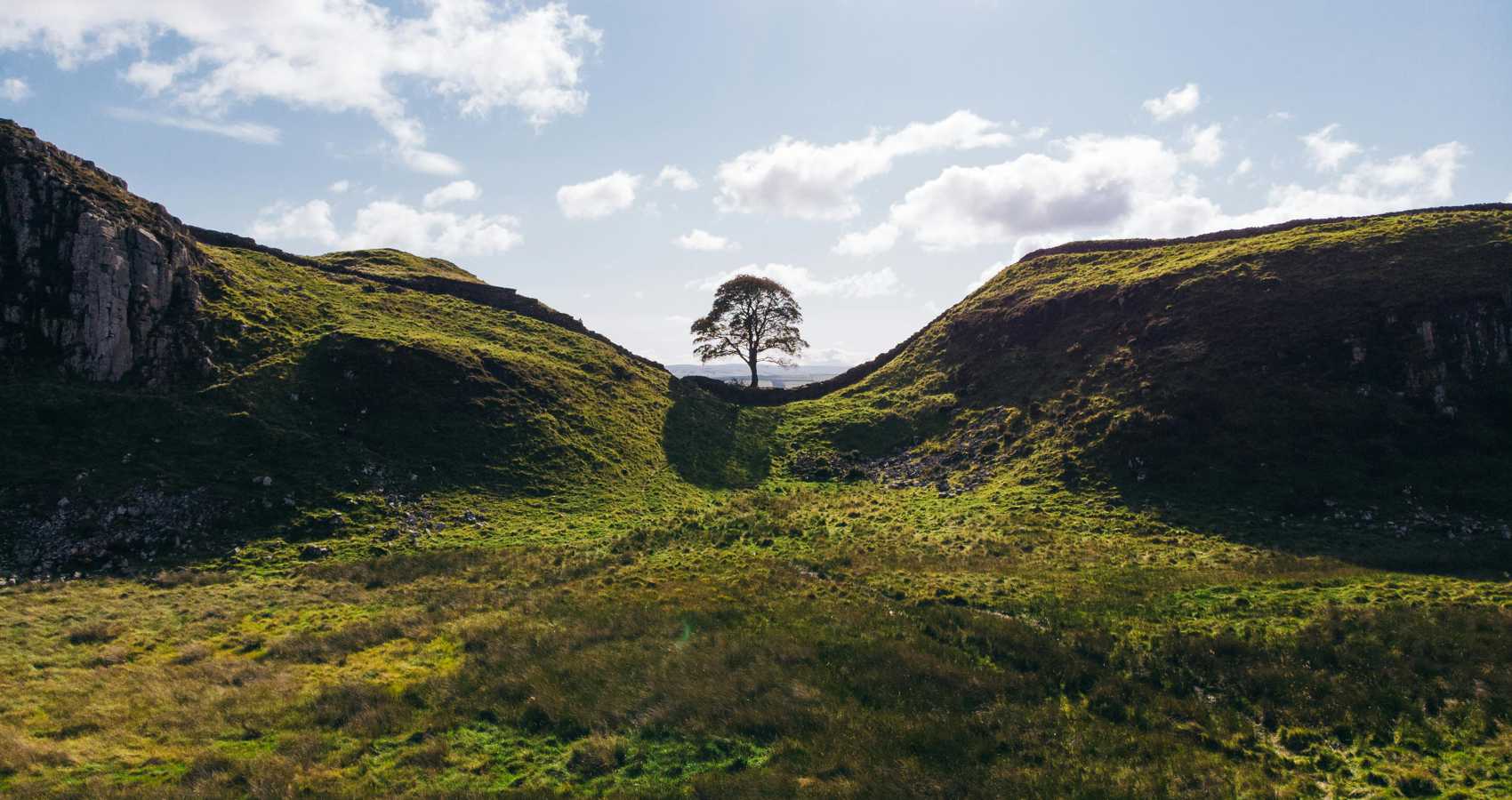 Sycamore Gap, poetry by Anthony John Ward at Spillwords.com