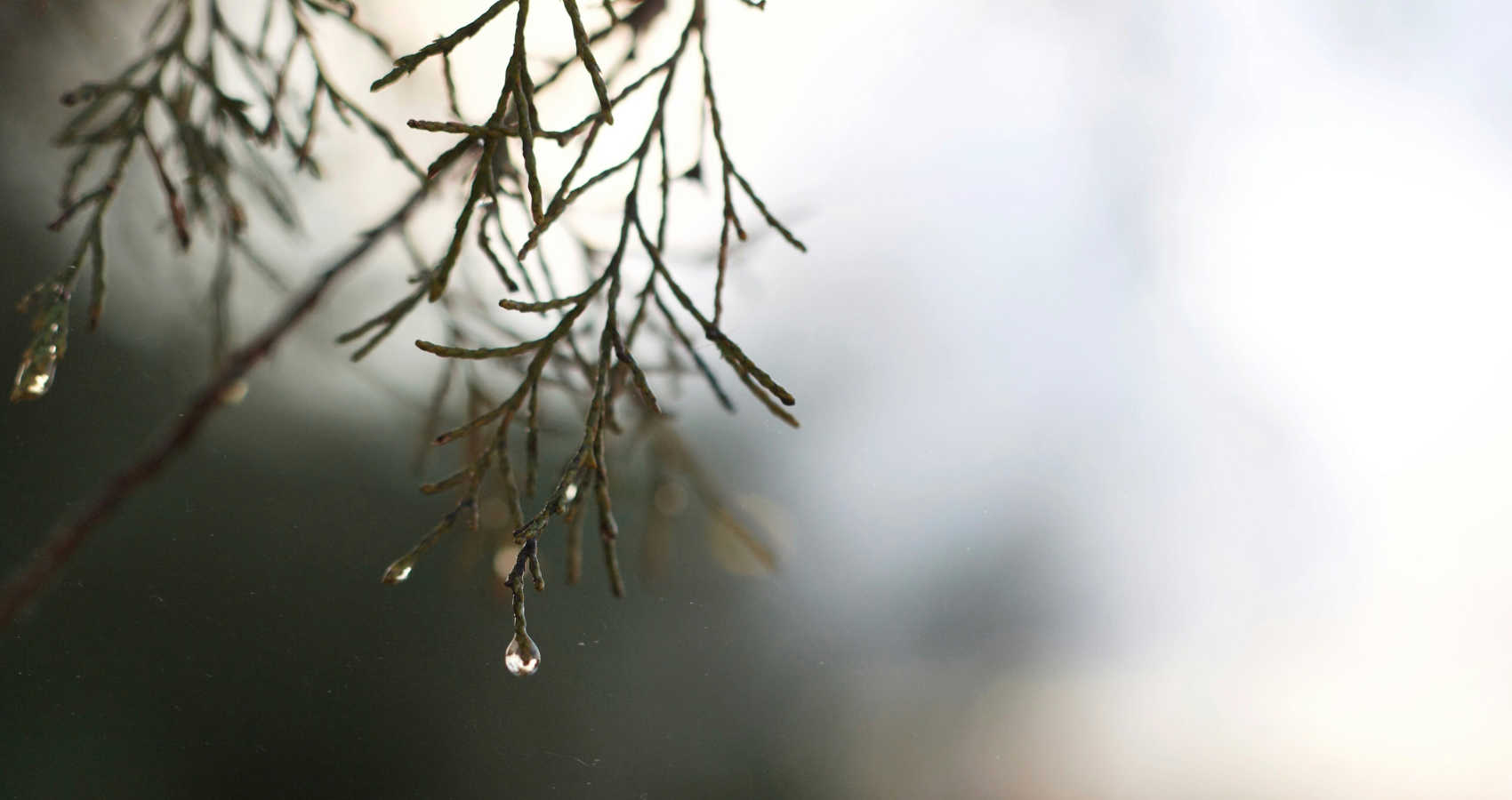 Tears in the Lines, a poem by Aileen D. Tacbalan at Spillwords.com