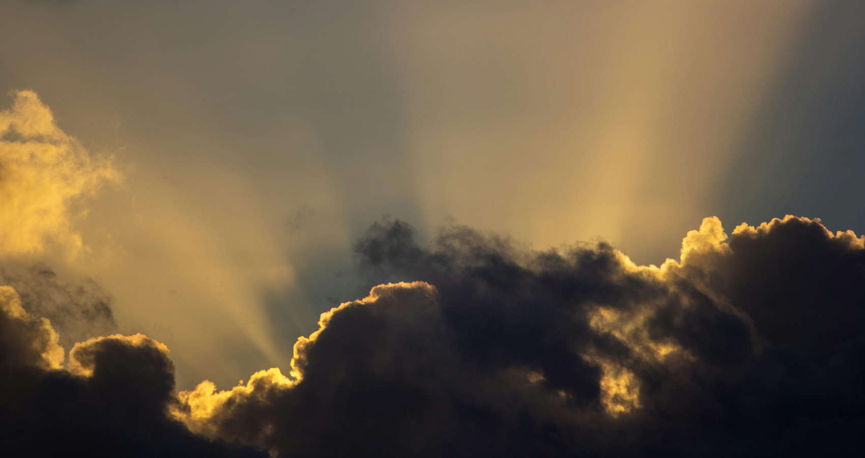 The Power to Undo, a poem by Jane Bradshaw at Spillwords.com