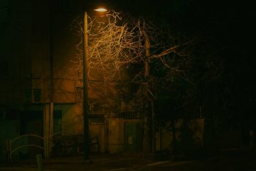 The Same Except, poetry by Insha Naqvi at Spillwords.com