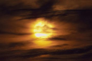 The Vama Sunrise, a poem by Rob Carter at Spillwords.com