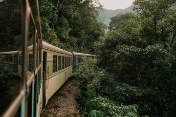 Travelling for Knowledge, poetry by Dr. Perwaiz Shaharyar at Spillwords.com