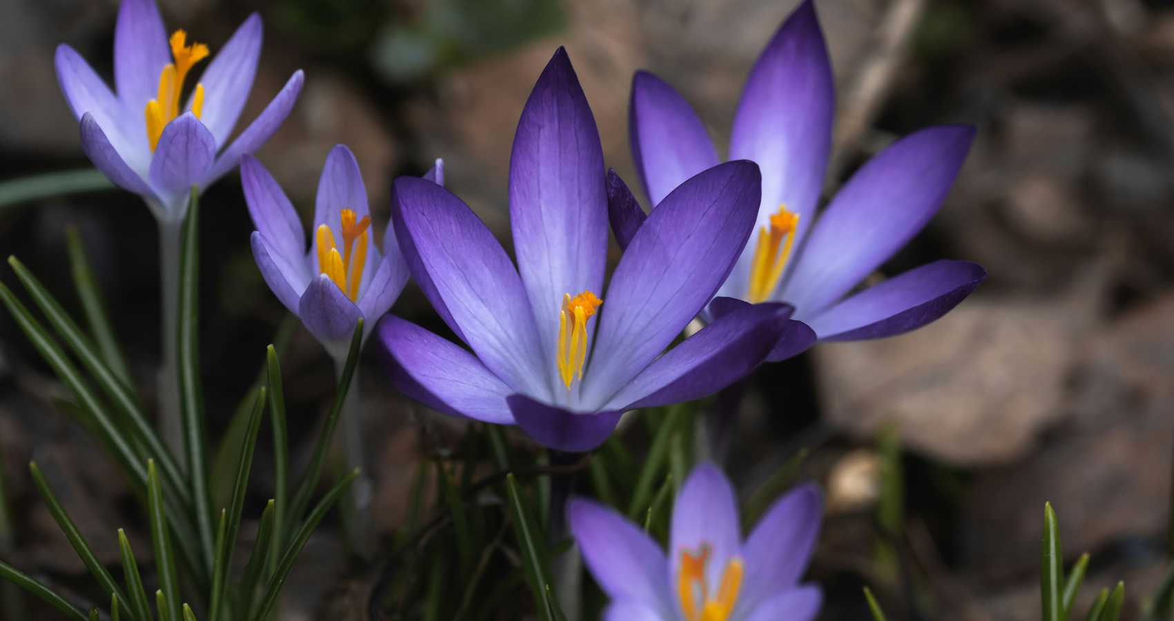 What's Left, a poem by Jenny Middleton at Spillwords.com