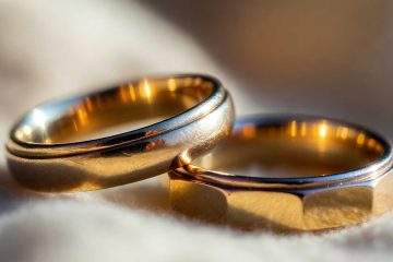 Hybrid, a poem by Stephen Kingsnorth at Spillwords.com