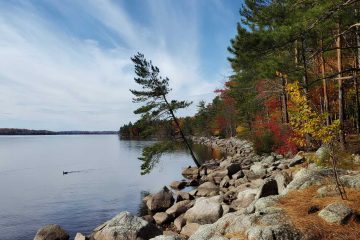 Lake Wazee, short story by Diane Dachota at Spillwords.com