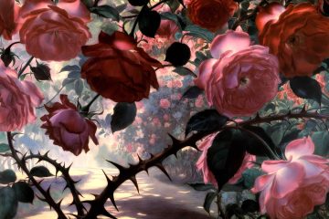 The Thorn-laden Path To Love, a poem by Walid Boureghda at Spillwords.com