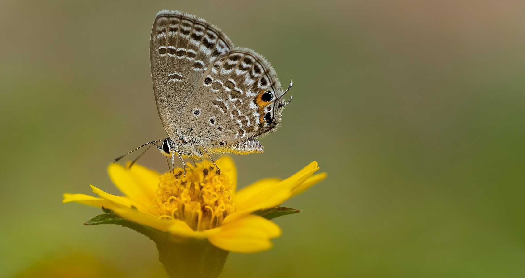 What More Could I Crave, a poem by Grażyna Misiaszek at Spillwords.com