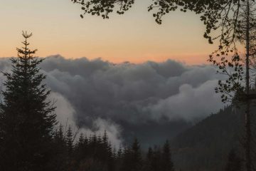 With Every Sunrise, poetry by Jose Alfredo Silva at Spillwords.com