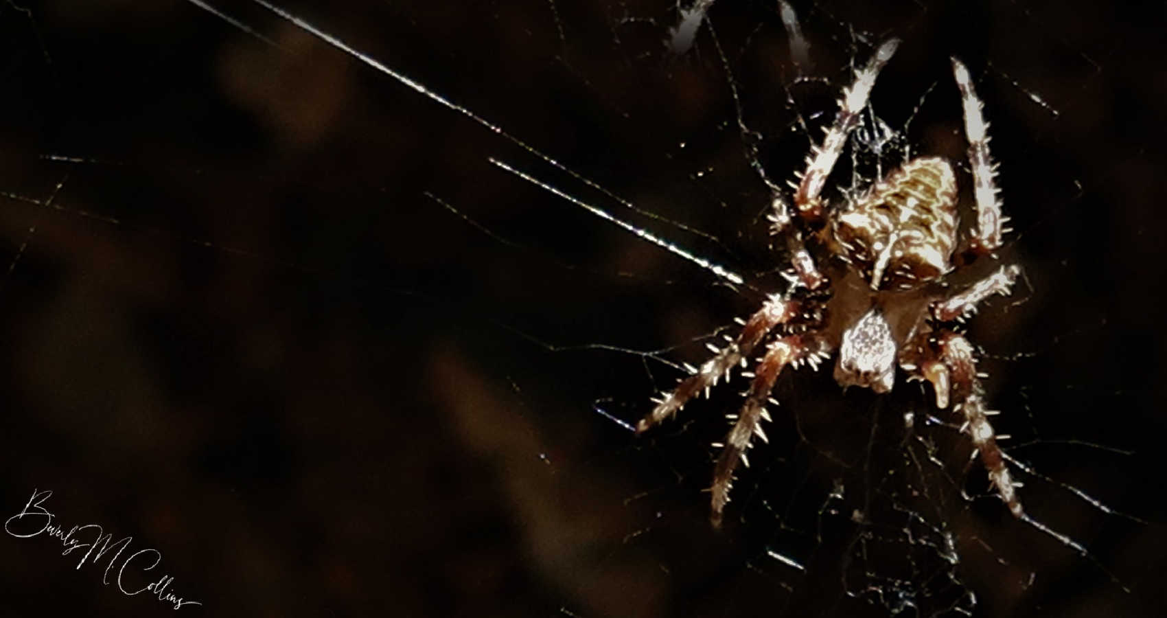 Broken Night, flash fiction by Beverly M. Collins at Spillwords.com