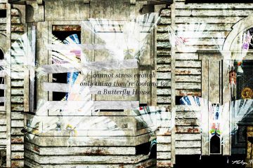 Butterfly House, a haiku by Robyn MacKinnon at Spillwords.com