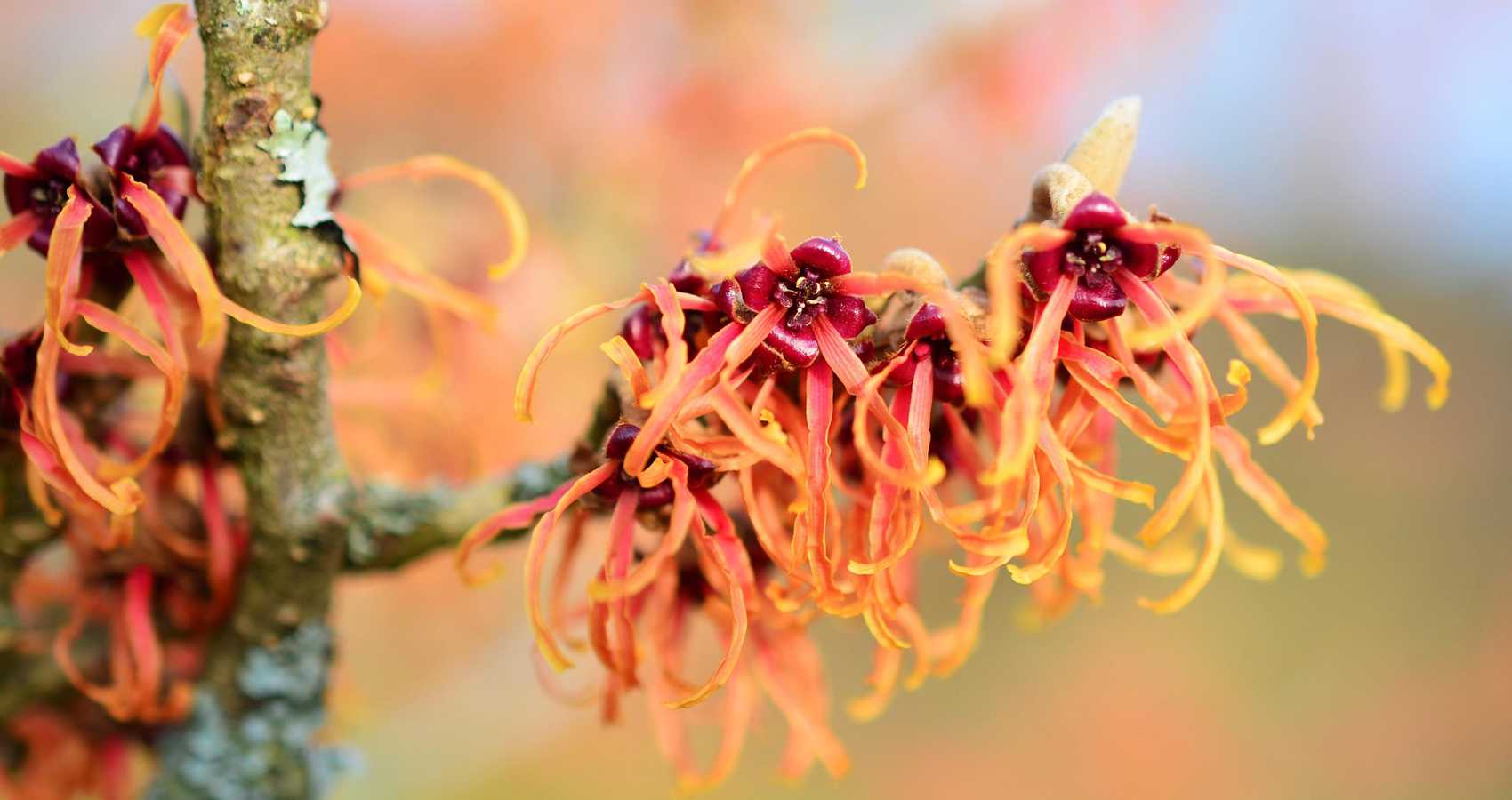 Byłam Kiedyś, poem by Mirosława Stojak at Spillwords.com