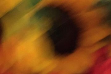 Flowers in a Hurry, micropoetry by Hanna Tetens at Spillwords.com