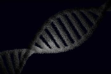 Genetics Codex, an essay by Luca Marco at Spillwords.com
